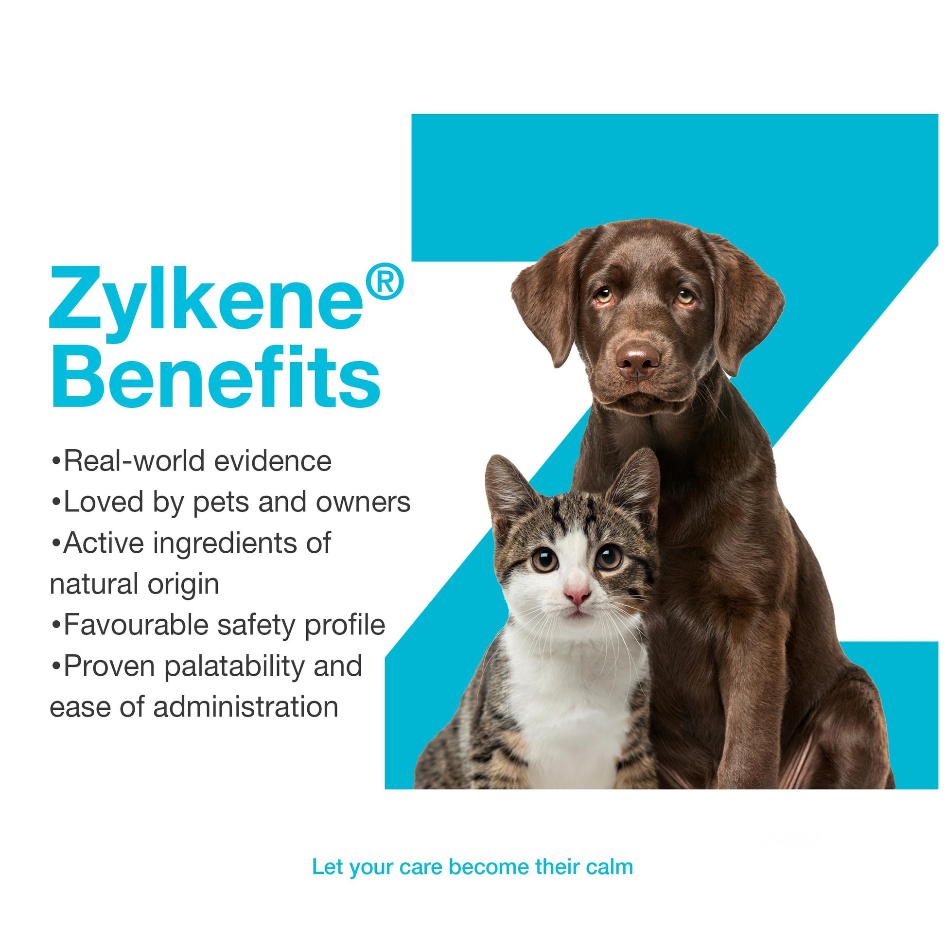 Vetoquinol Zylkene – Veterinary Health Product - Calm and Relaxed Behaviour in Pets During Stressful Events - 75 mg - Cats and Small Dogs - 30 Caps