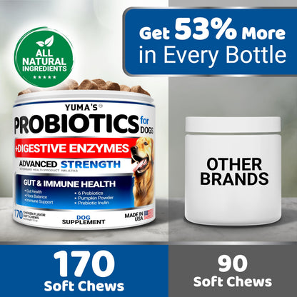 Probiotics for Dogs - 170 Chews - Helps Relieve Diarrhea, Gas & Allergies, Constipation - Dog Probiotics - Digestive & Immune Support - Prebiotics & Digestive Enzymes - Gut Health Chewable Supplement