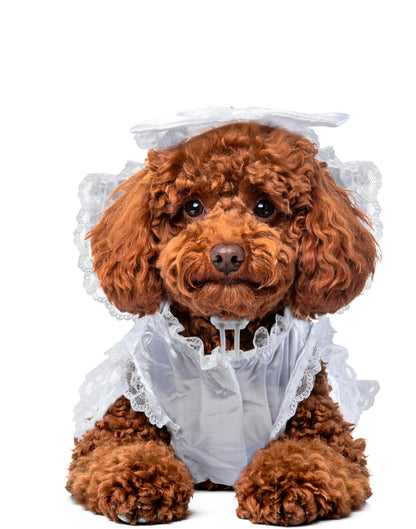 Rubies Costume Co Halloween Classics Collection Pet Costume, Small, Bride