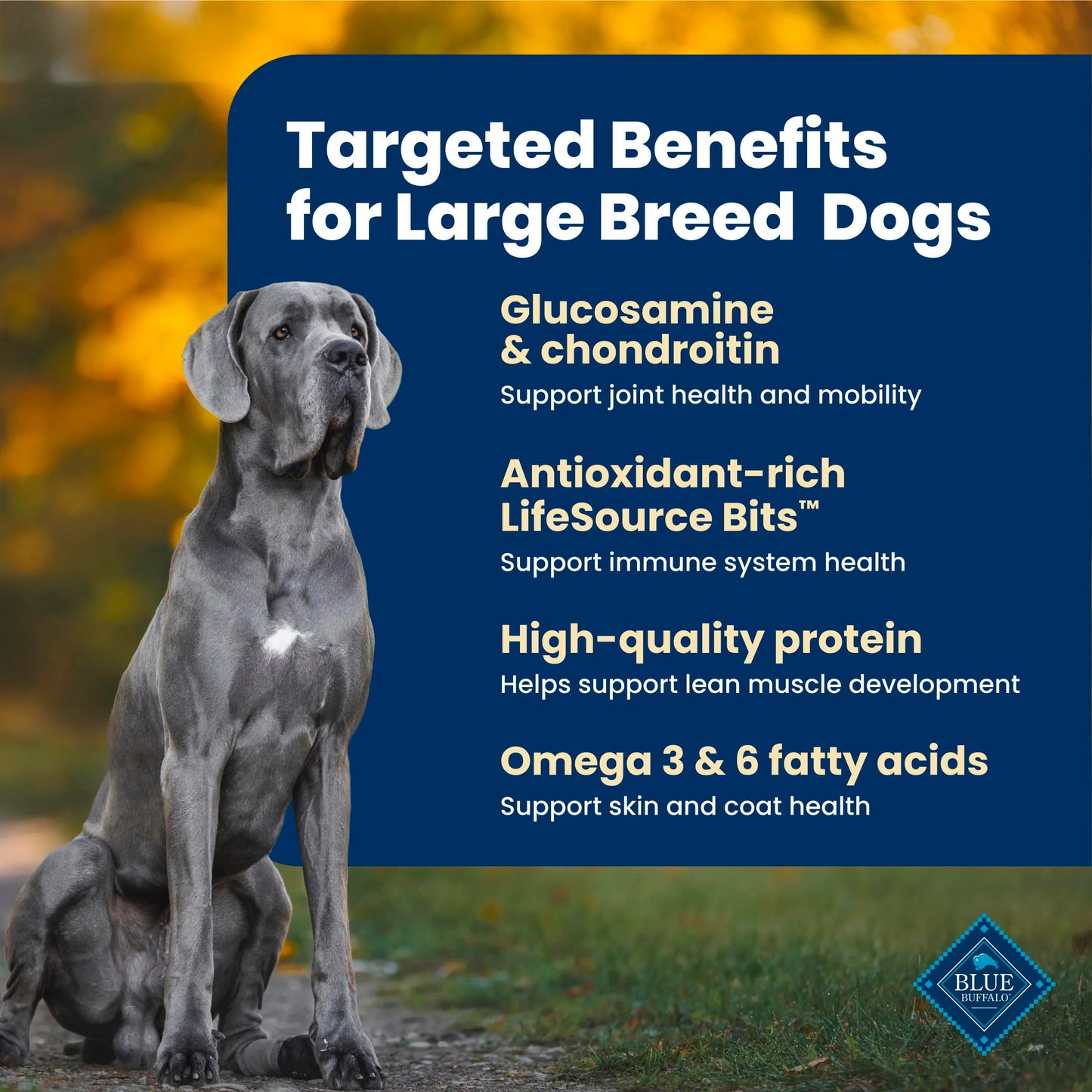 Blue Buffalo Life Protection Formula Lamb & Brown Rice Large Breed Adult Dry Dog Food, Supports Immunity with Antioxidant-Rich LifeSource Bits, Promotes Healthy Muscles, 11.7kg/26lbs