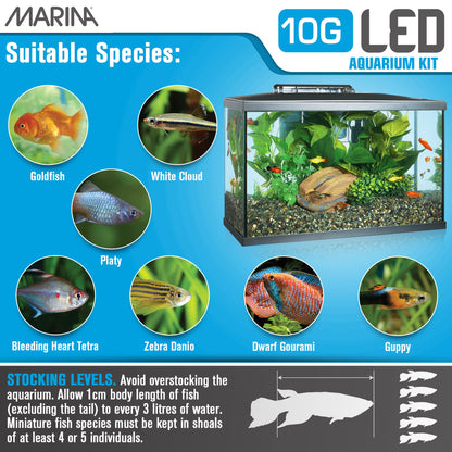Marina LED Aquarium Kit, 10 Gallon, (15256A1) 🍁 All In One Marketplace Canada Marina