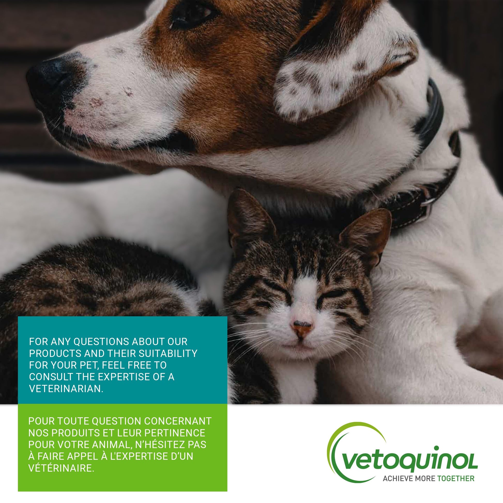 Vetoquinol Flexadin Advanced (with boswellia) – Dog Joint Supplement – One Chew a Day for Dogs - 60 Chews - Available at All In One Marketplace Canada