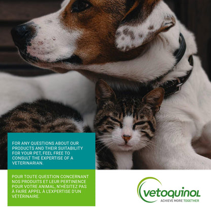 Vetoquinol Flexadin Advanced (with boswellia) – Dog Joint Supplement – One Chew a Day for Dogs - 60 Chews - Available at All In One Marketplace Canada