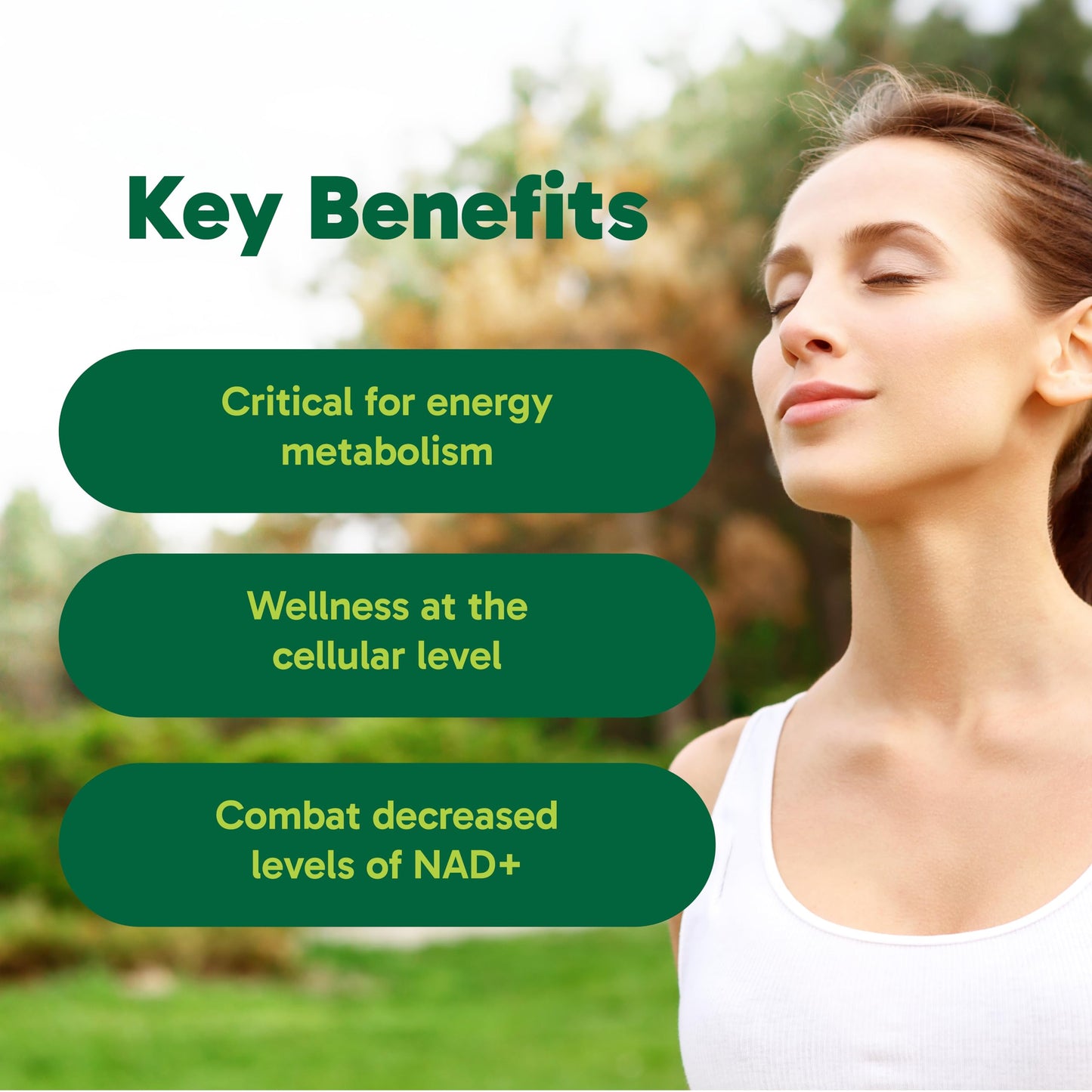 Organika Canadian-Made NAD+ Booster - NRC - for Energy Metabolism, Healthy Aging, Vitamin B3, and Cellular Health - 60vcaps, 60 Day Supply - Available at All In One Marketplace Canada