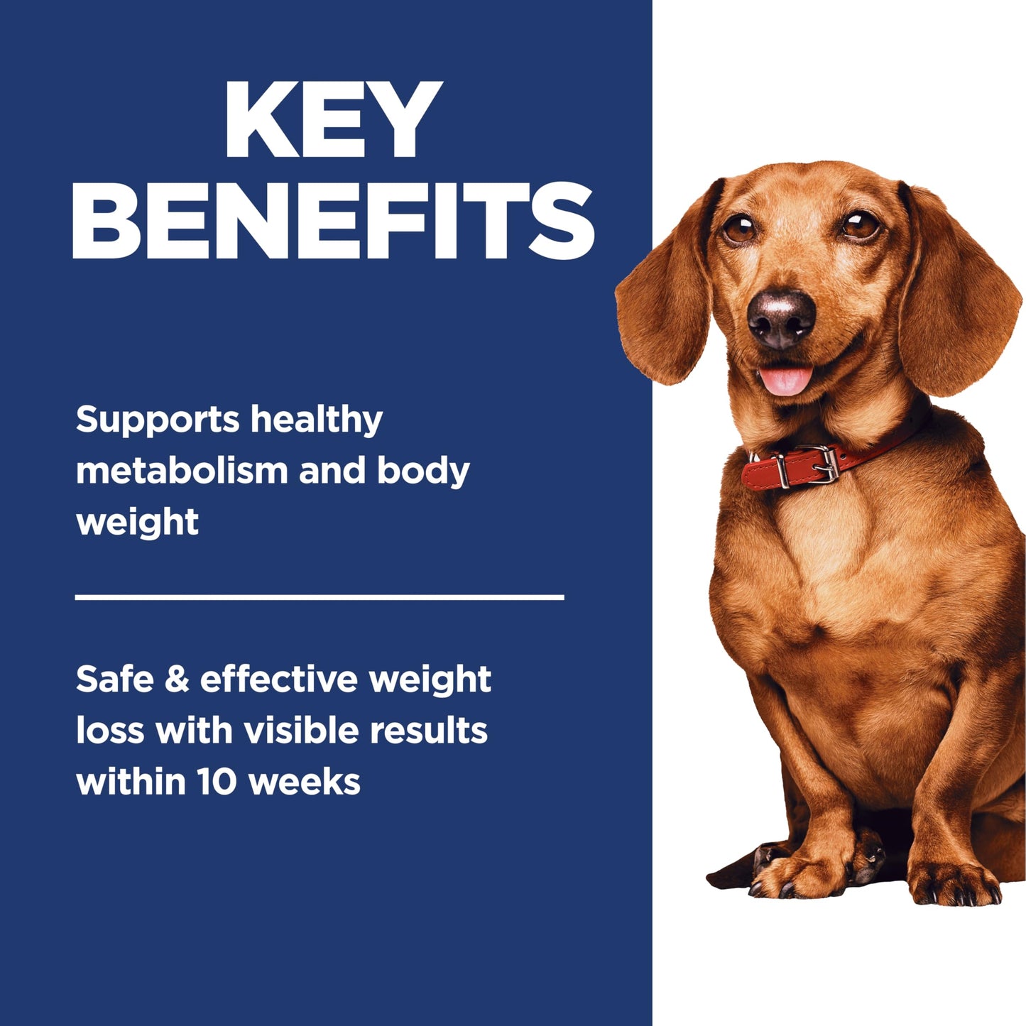 Hill's Science Diet Adult Perfect Weight Small & Mini Chicken Recipe Dry Dog Food, 5.67 kg Bag Hill's Science Diet