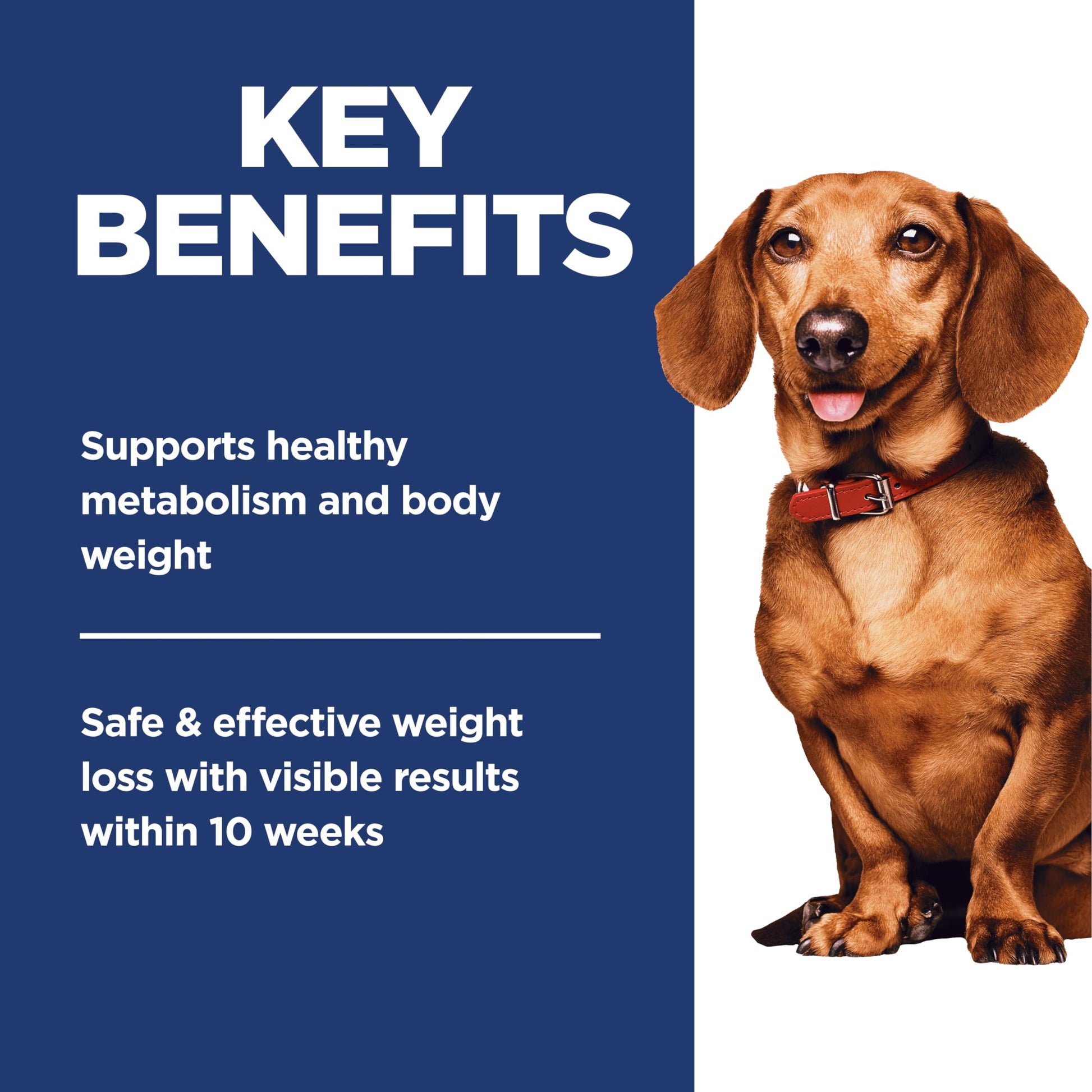 Hill's Science Diet Adult Perfect Weight Small & Mini Chicken Recipe Dry Dog Food, 5.67 kg Bag Hill's Science Diet