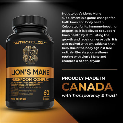 Nutratology® Organic Lion's Mane Mushroom Capasules - Nootropic Functional Mushroom Supplements Made With 40% Polysaccharides & >20% Beta-Glucan | Supports Memory, Cognition & Brain Health - 60 Count - Available at All In One Marketplace Canada