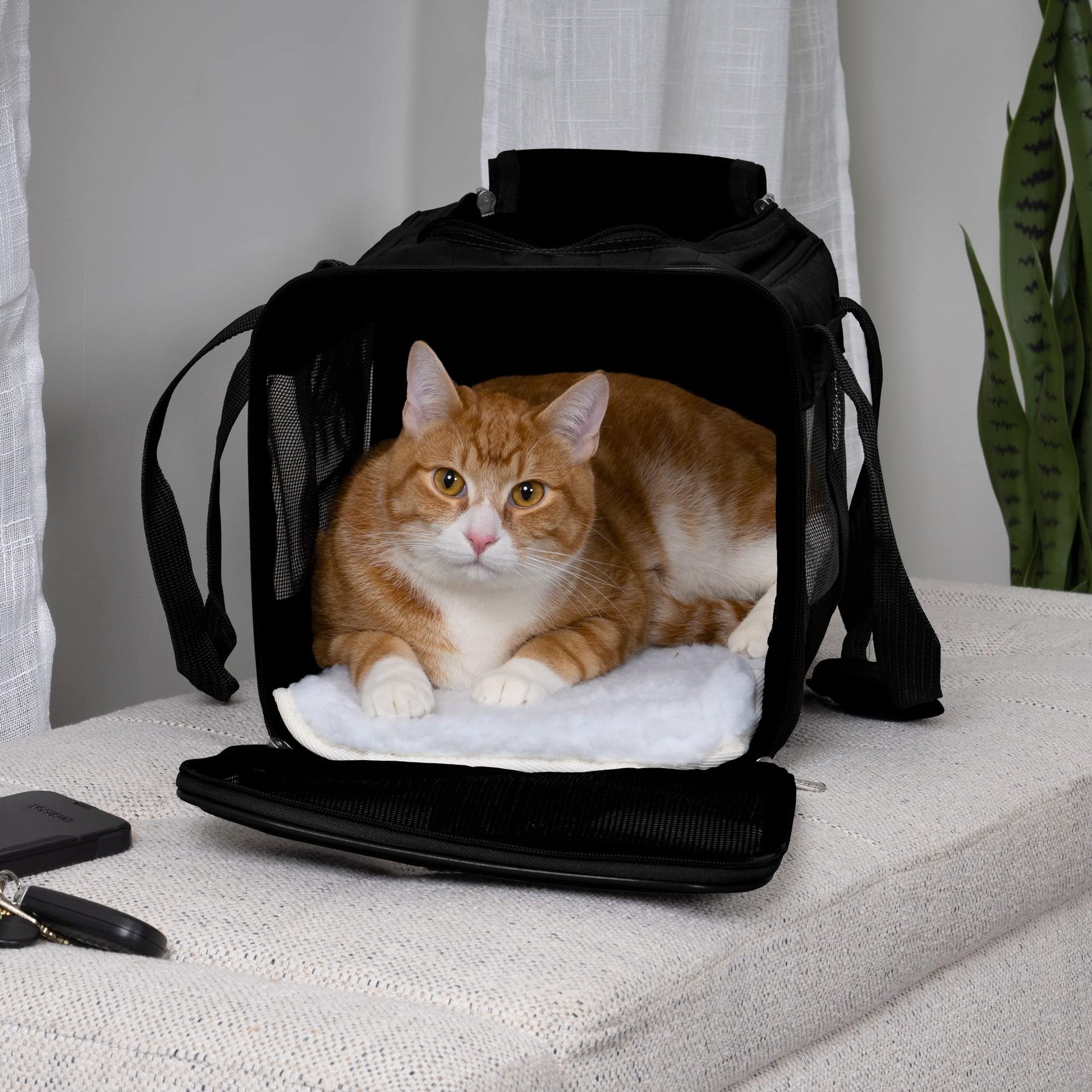 SHERPA Original Deluxe Airline Approved Pet Carrier, Medium, Black Sherpa