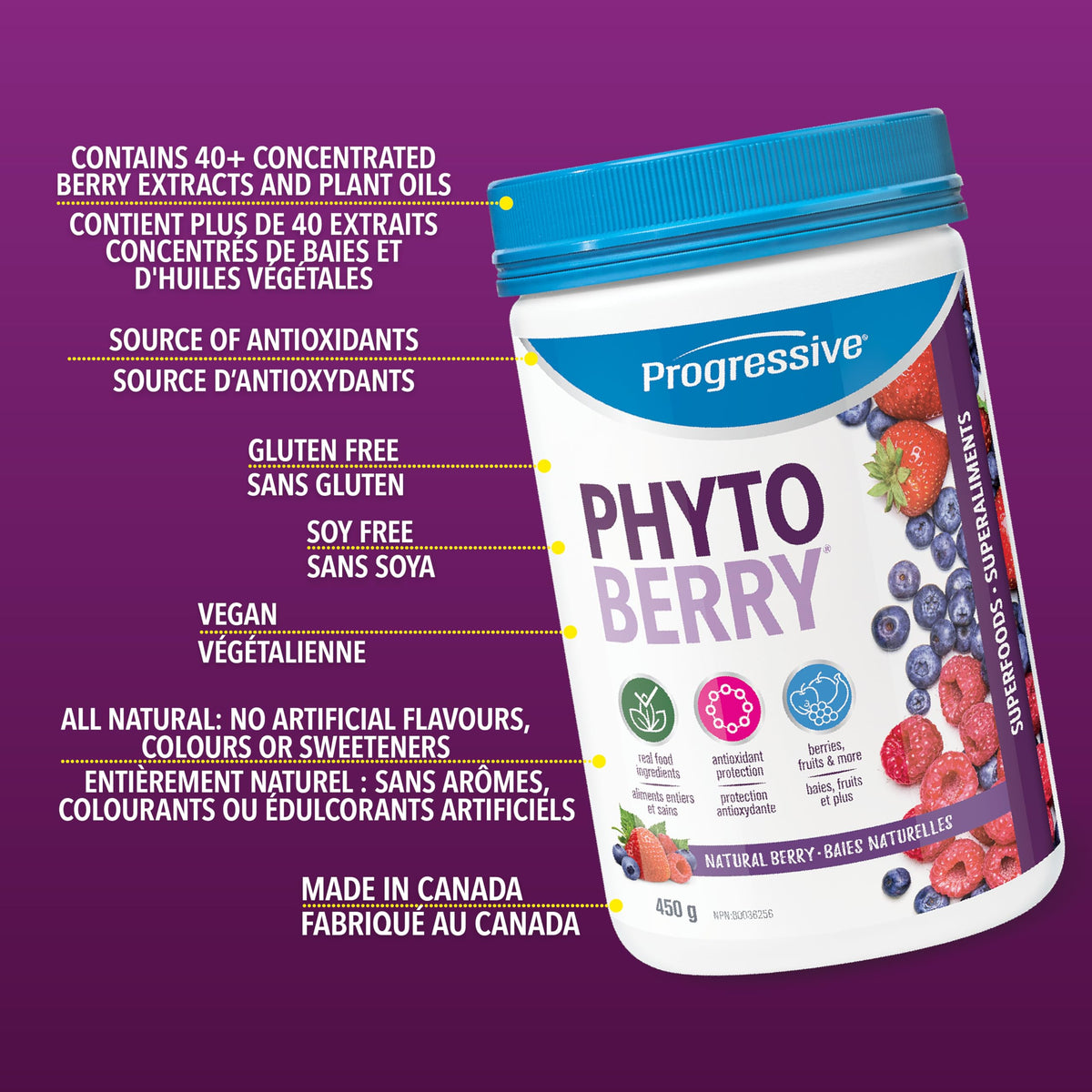 Progressive PhytoBerry Antioxidant Superfood Powder Natural Berry Flavour, Canadian-Made with 40 Fruit Concentrates, Phytonutrients, organic Acai berry, and Plant Oils for Complete Free-Radical Defence, Vegan, Gluten-Free, and All Natural, 450 g