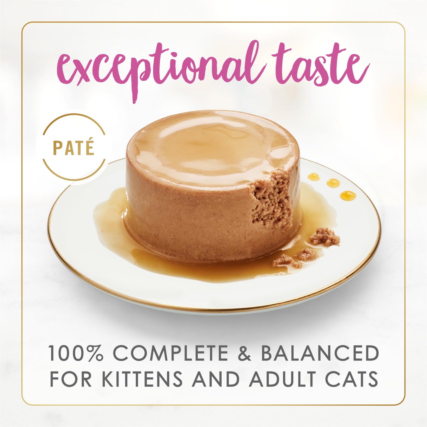 Fancy Feast Gravy Lovers Pâté Wet Cat Food, Chicken in Gravy 85g (24 Pack) Fancy Feast