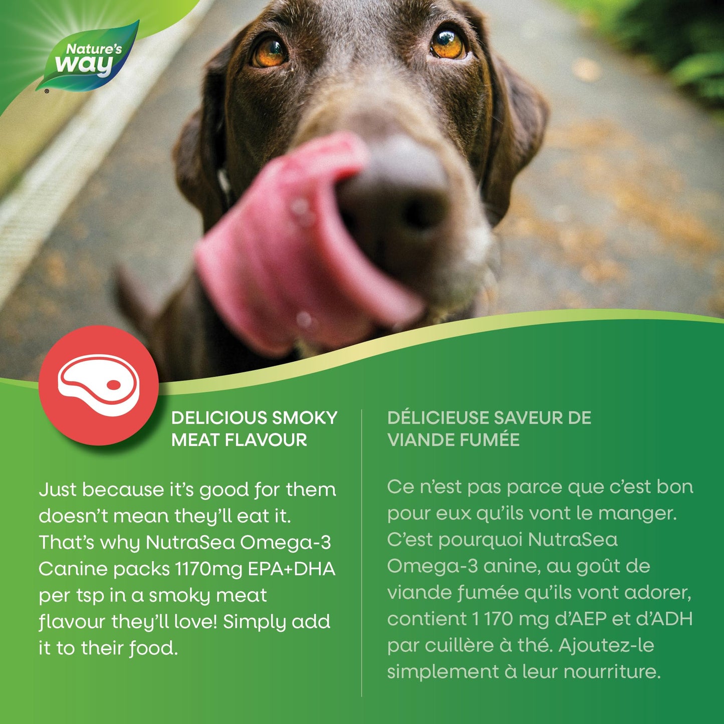 Nature’s Way NutraSea Omega-3 Canine Supplement for Dogs – Helps Support Dogs’ Skin, Coat, Muscles, Joints, Heart & Brain – 1170 mg of EPA + DHA – Smoky Meat Flavour, 200 mL 🍁 All In One Marketplace Canada