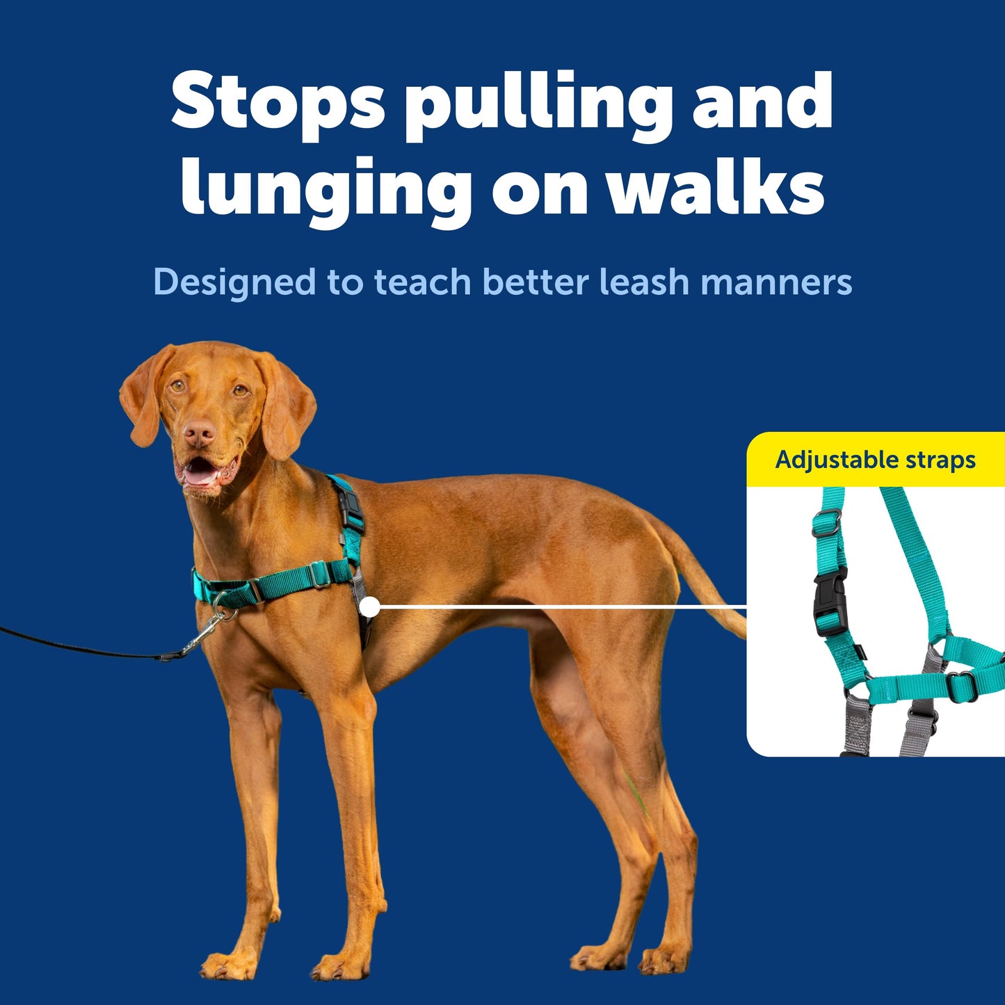 PetSafe Easy Walk Dog Harness, Teal/Gray, Medium 🍁 All In One Marketplace Canada