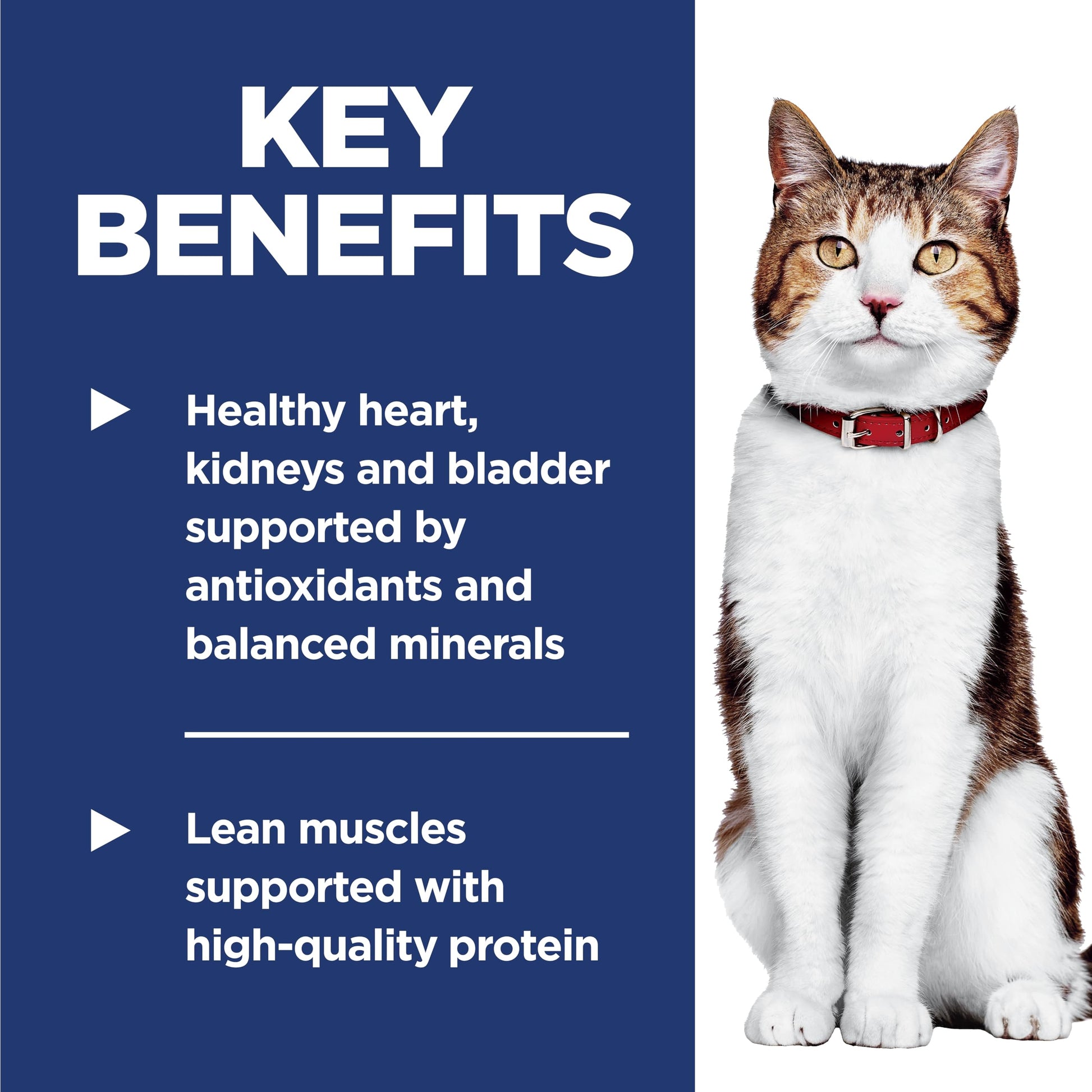 Hill's Science Diet Senior 7+ Chicken Recipe Dry Cat Food 7.25 kg Bag Hill's Science Diet