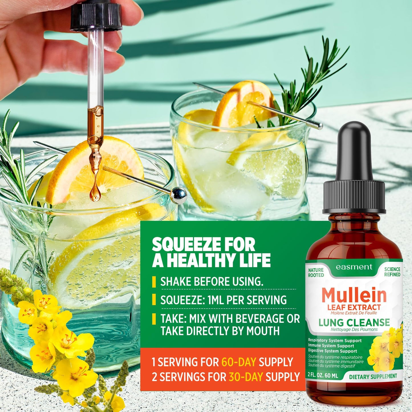 Easement Gouttelettes d'extrait de Molène pour les poumons – Complément à base de plantes pour le nettoyage des poumons, le soulagement du mucus et des mucosités – Liquide sans alcool