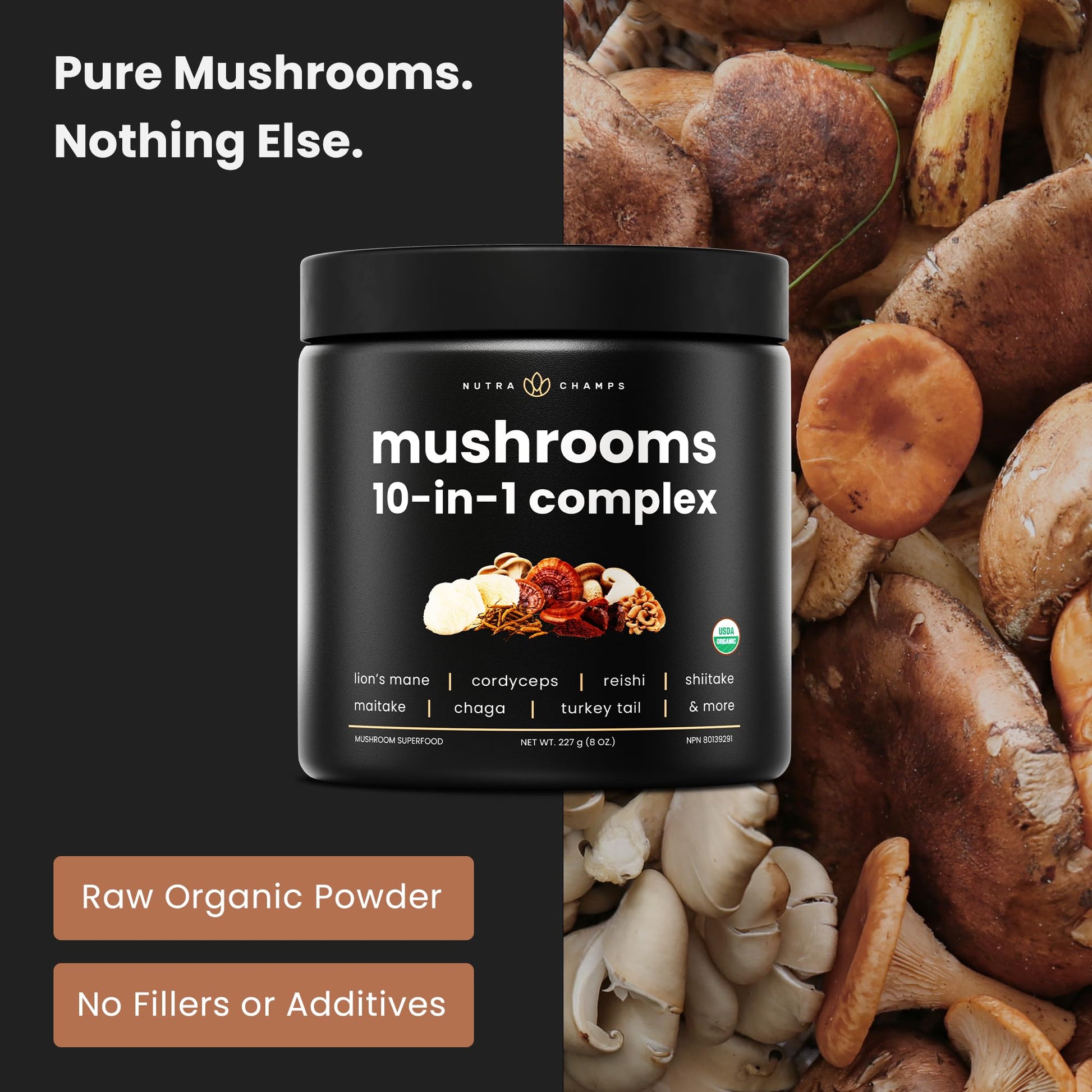 Organic Mushroom Powder - 10-in-1 Complex - Mushroom Supplement Powder Blend for Memory, Focus & Immune Support - Mushroom Blend For Coffee, Water, Smoothies - 8oz - Available at All In One Marketplace Canada