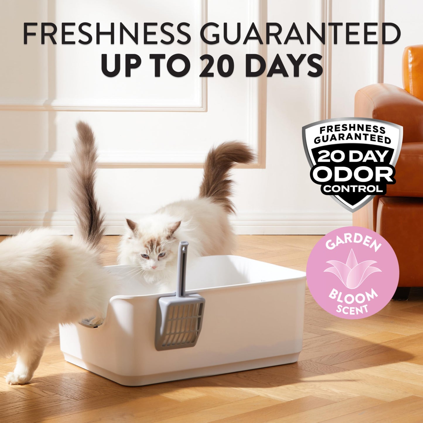 ARM & HAMMER Hardball Clumping Litter, Platinum Formula, Lightweight, Easy No-Mess Scooping, 3.86 KG 🍁 All In One Marketplace Canada