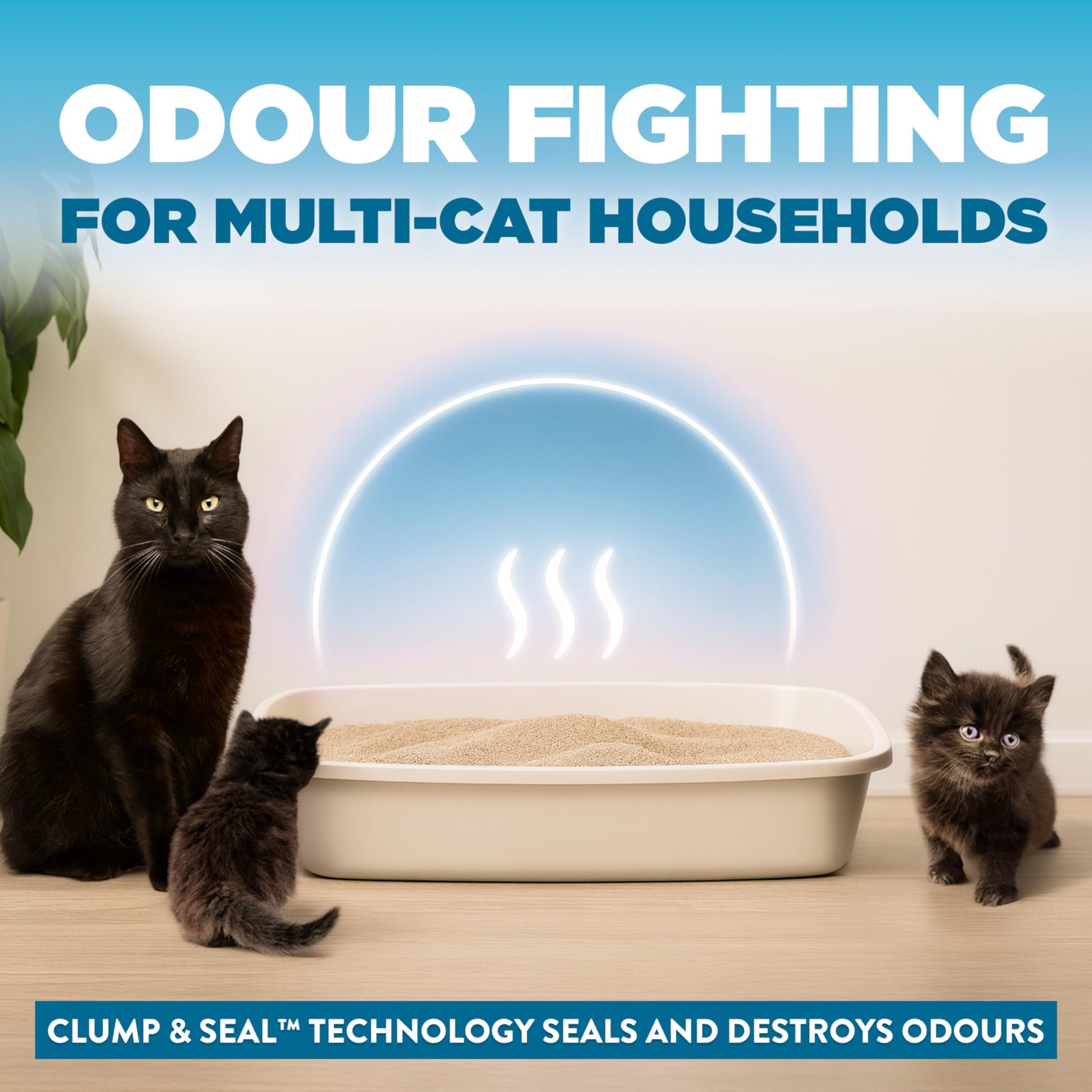 Arm & Hammer Clump & Seal Cloud Control Clay Cat Litter, Multi-Cat, 12.7kg, 7 Days of Odour Control, Dust Free, Clumping Litter (Pack of 1)