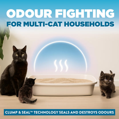 Arm & Hammer Clump & Seal Cloud Control Clay Cat Litter, Multi-Cat, 12.7kg, 7 Days of Odour Control, Dust Free, Clumping Litter (Pack of 1)