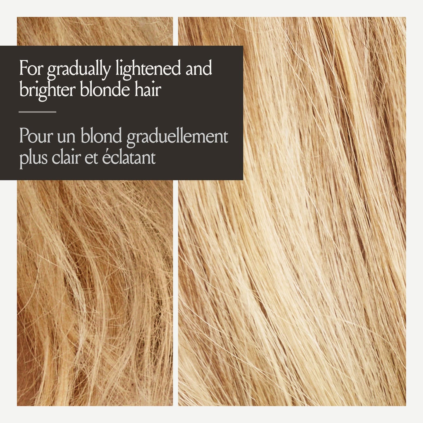 John Frieda Go Blonder Duo for Blondes, Lightening Shampoo and Conditioner, Gradually lightens and brightens natural, colour-treated and highlighted blonde hair, peroxide and ammonia free. Packaging May Vary 🍁 All In One Marketplace Canada