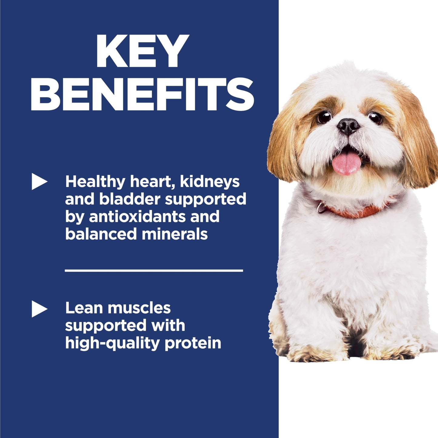 Hill's Science Diet Senior 7+ Small Bites Chicken Meal, Barley & Rice Recipe Dry Dog Food 2.26 kg Bag - Available at All In One Marketplace Canada