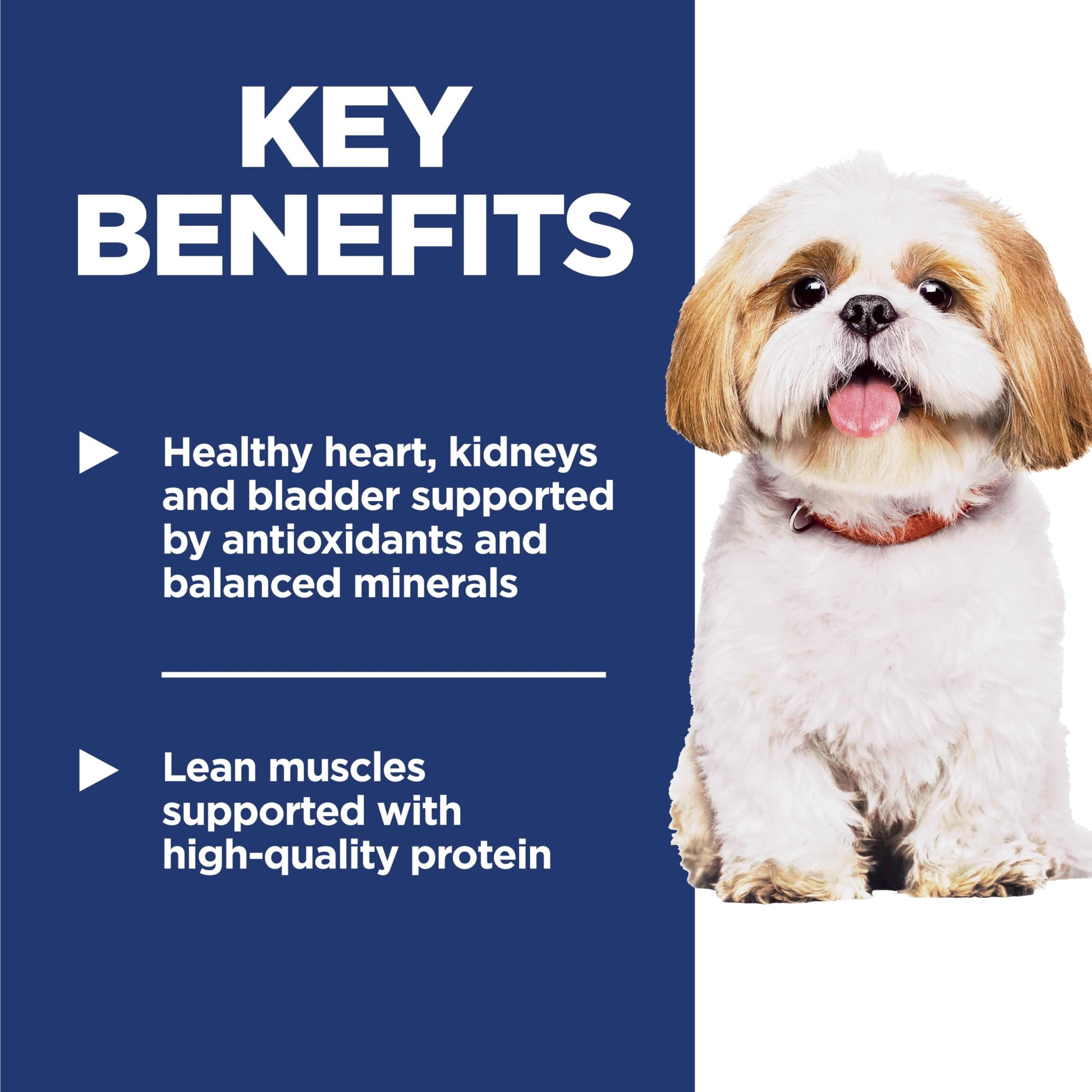 Hill's Science Diet Senior 7+ Small Bites Chicken Meal, Barley & Rice Recipe Dry Dog Food 2.26 kg Bag - Available at All In One Marketplace Canada