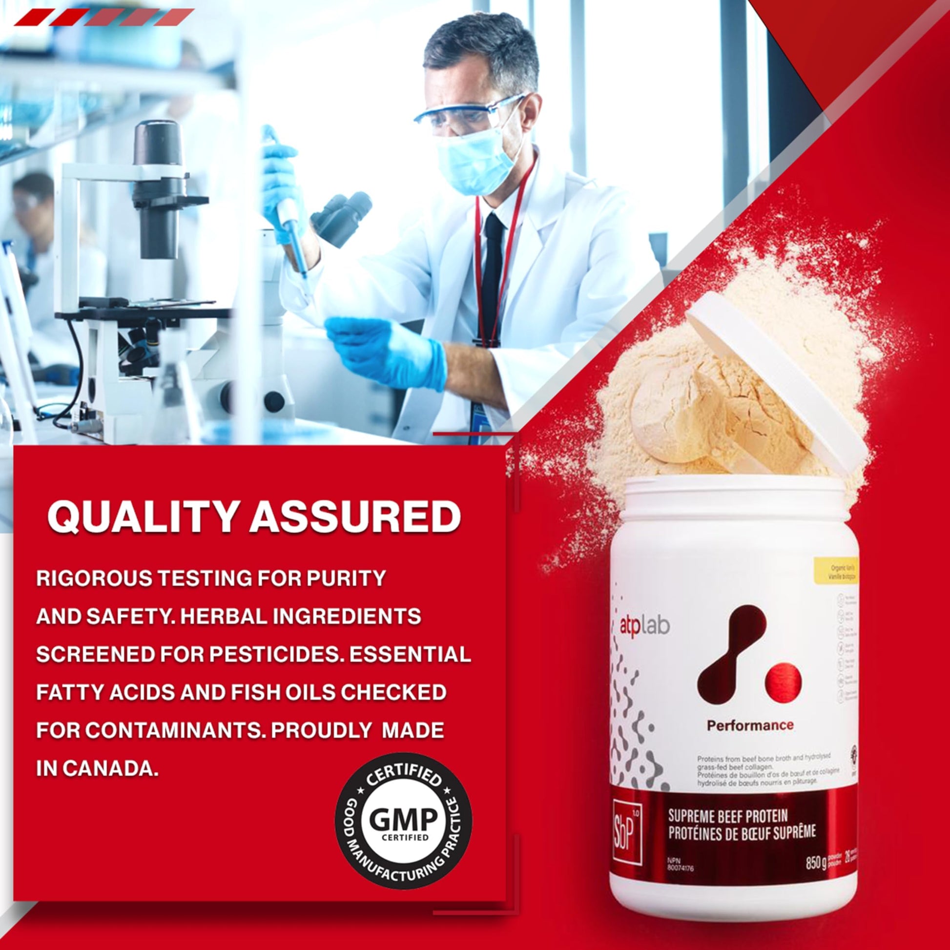 ATP LAB Supreme Beef Protein Powder Grass Fed 850g - Vanilla Flavor with Bone Broth & Hydrolyzed Collagen