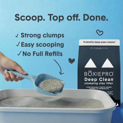 Boxie® Probiotic Cat Litter 40 Day Natural Odor Control, 16lb Clumping Kitty Litter (Clay)
