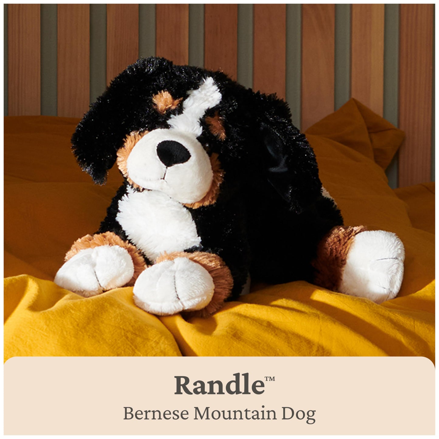 GUND Randle 13-Inch Bernese Mountain Dog Stuffed Animal for Ages 0+ GUND