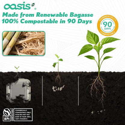 OasisSN [6x6, 128-Pack] Compostable Clamshell Take Out Food Containers, Biodegradable Bagasse Paper To-Go Boxes for Burgers, Sandwiches, Cake, Eco-Friendly, Microwave & Freezer Safe, White 🍁 All In One Marketplace Canada