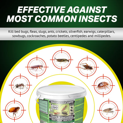 KNOCK DOWN - Diatomaceous Earth Insect Killer, Cockroach, Flea, Ant, Silverfish, Bed Bug Killer for Indoor and Outdoor Use, Food Grade Diatomaceous Earth Powder with Bait, 1kg Pail