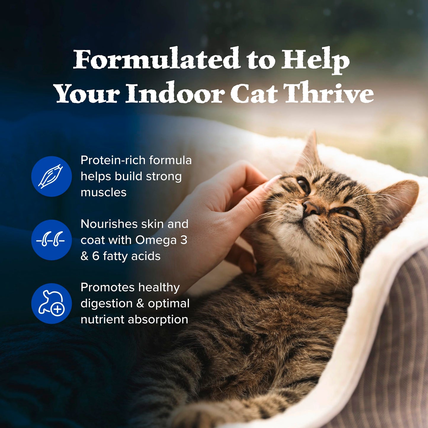Blue Buffalo Wilderness Chicken Natural High-Protein Grain-Free Dry Food for Adult Indoor Cats, Real Chicken First, Antioxidant-Rich LifeSource Bits Support Immunity, Promotes Strong Muscles, 5 lbs.