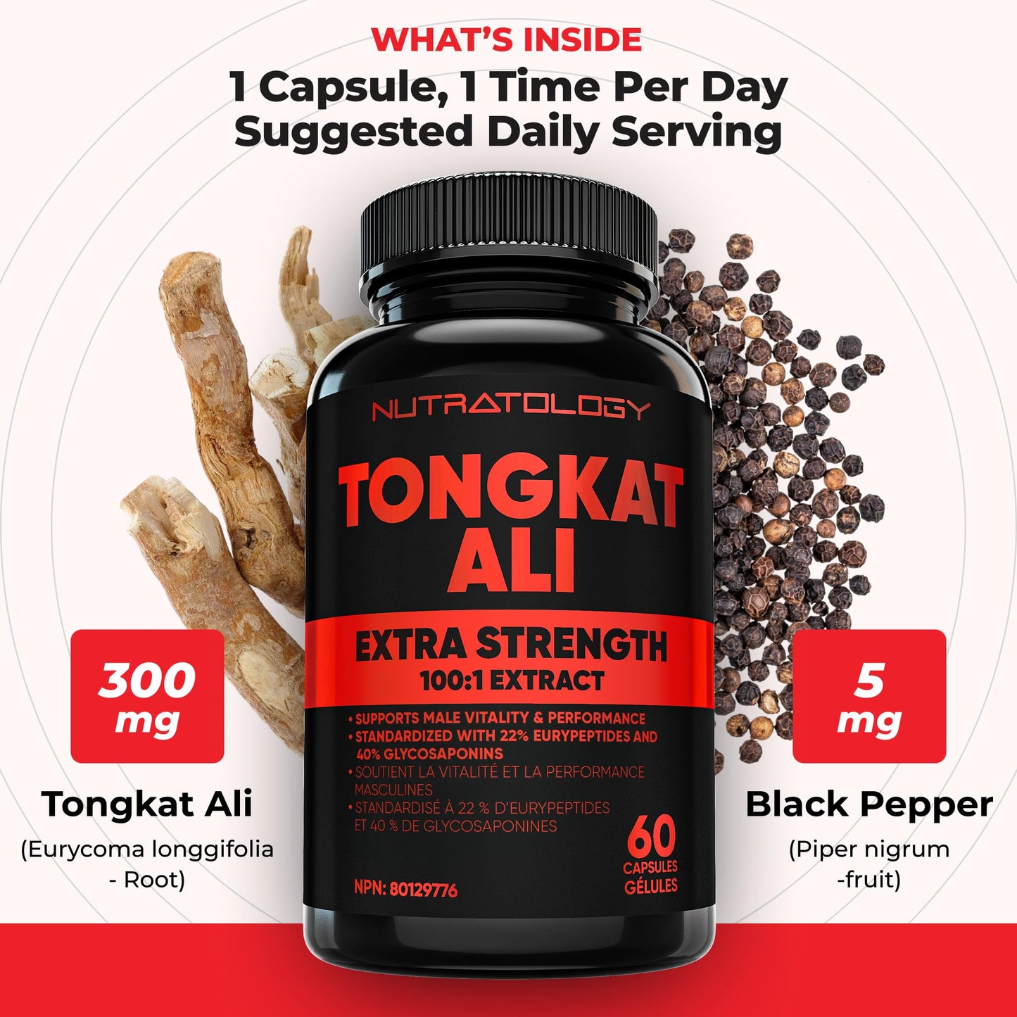 Nutratology® Tongkat Ali Supplement For Men | Canadian Made | 100:1 Extra Strength Tongkat Ali Extract + Black Pepper | Supports Male Vitality & Performance | 60 Capsules - Available at All In One Marketplace Canada