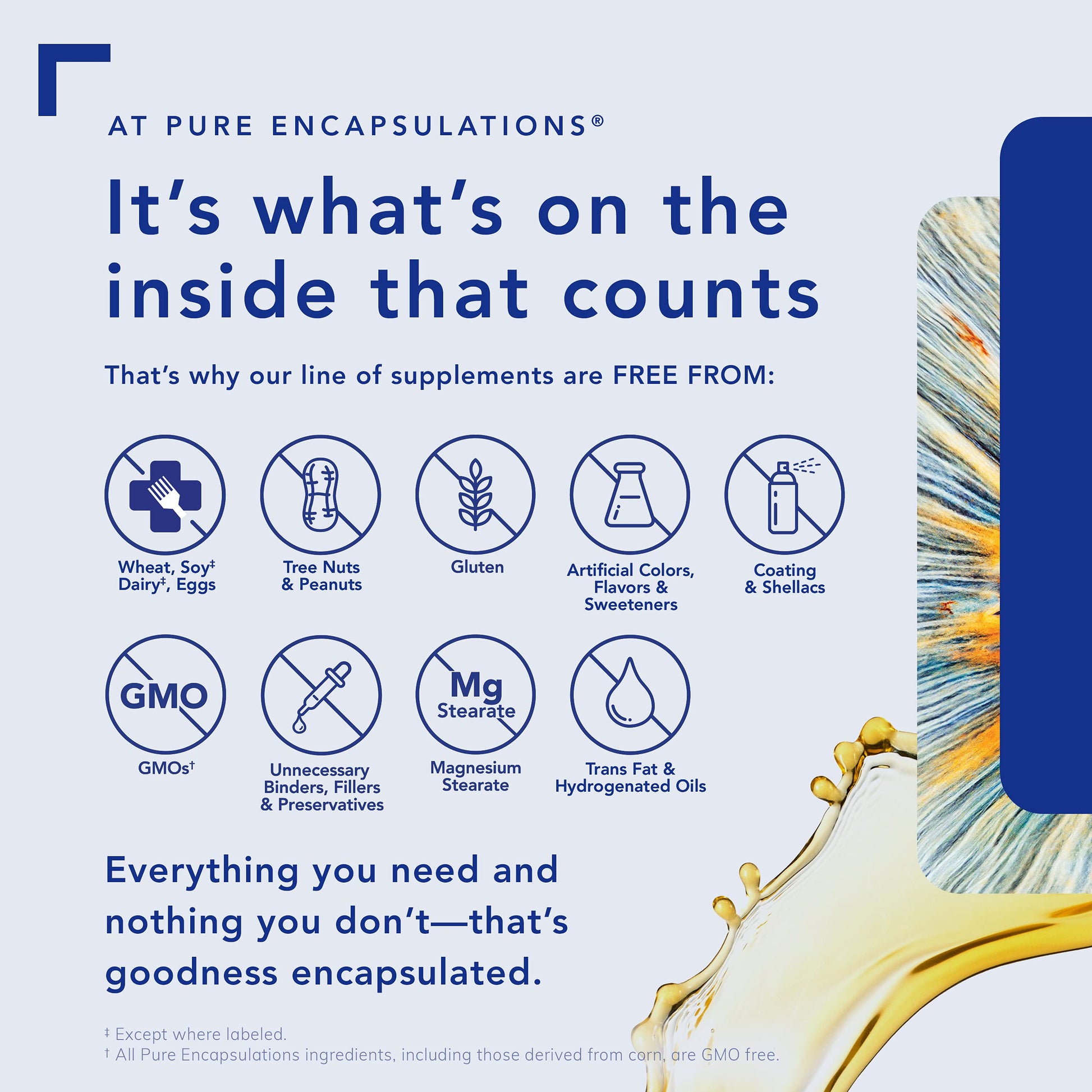 Pure Encapsulations B12 Liquid - B12 as Methylcobalamin - For Energy Metabolism & Red Blood Cell Formation - Liquid Drops - 30 mL - Available at All In One Marketplace Canada