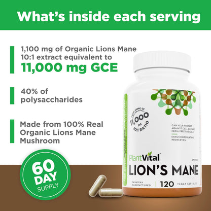 PlantVital Lions Mane - Made in Canada - Max Potency 11,000mg (10:1 Extract) - Organic Lion’s Mane Mushroom Supplements with 40% Polysaccharides - Supports Immune Health and Antioxidants -120 Capsules - Available at All In One Marketplace Canada
