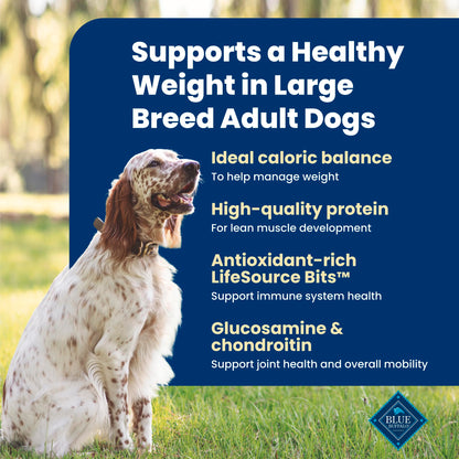 Blue Buffalo Life Protection Formula Chicken & Brown Rice Healthy Weight Large Breed Adult Dry Dog Food, Supports Immunity with LifeSource Bits, Promotes Healthy Lean Muscles,11.7kg/26 lbs