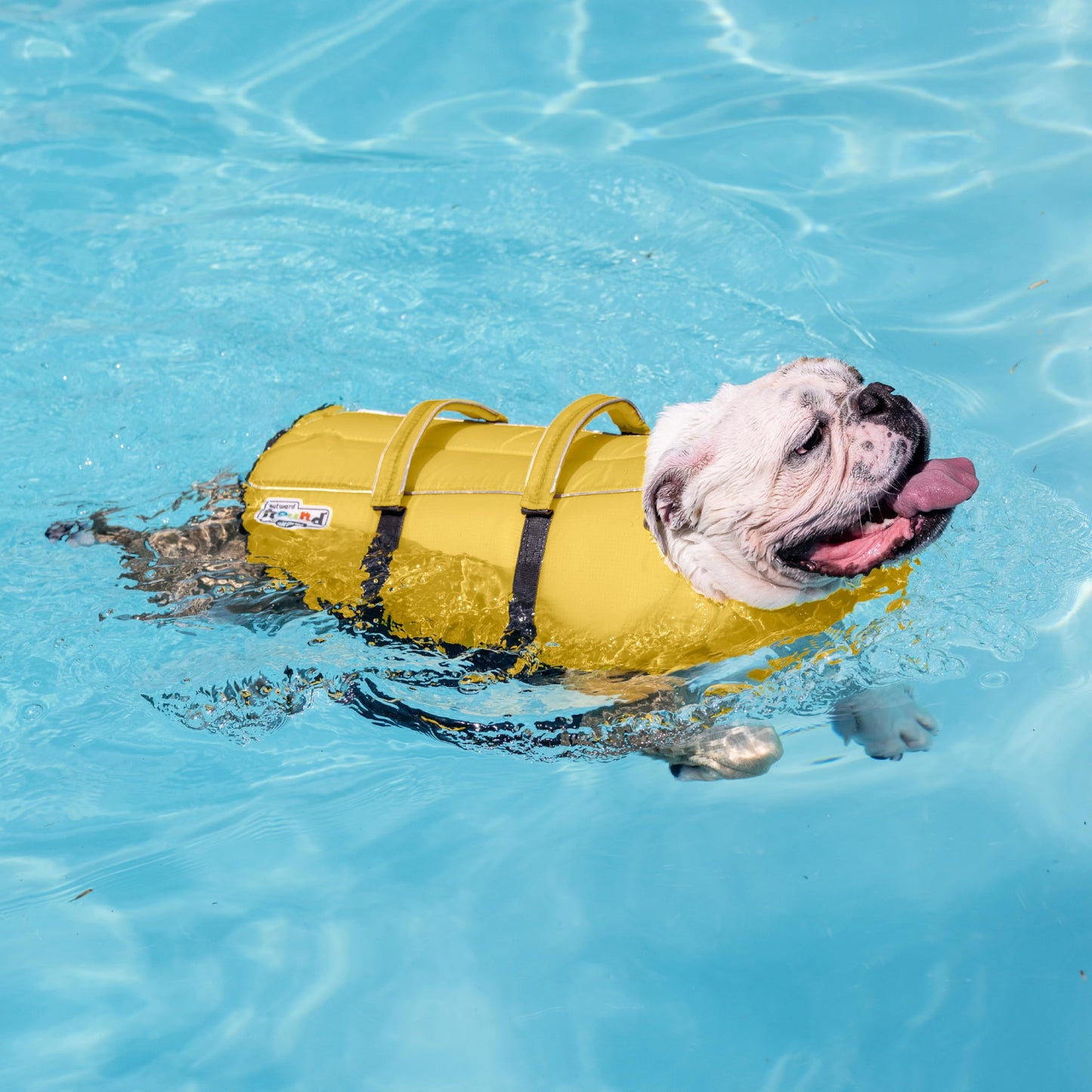 Outward Hound Granby Splash Dog Life Jacket with Handle, Reflective Floating Vest for Swimming & Boating, Maximum Buoyancy, All Skill Levels, Extra-Small Dogs & Puppies (11–15" Girth), Yellow, X-Small