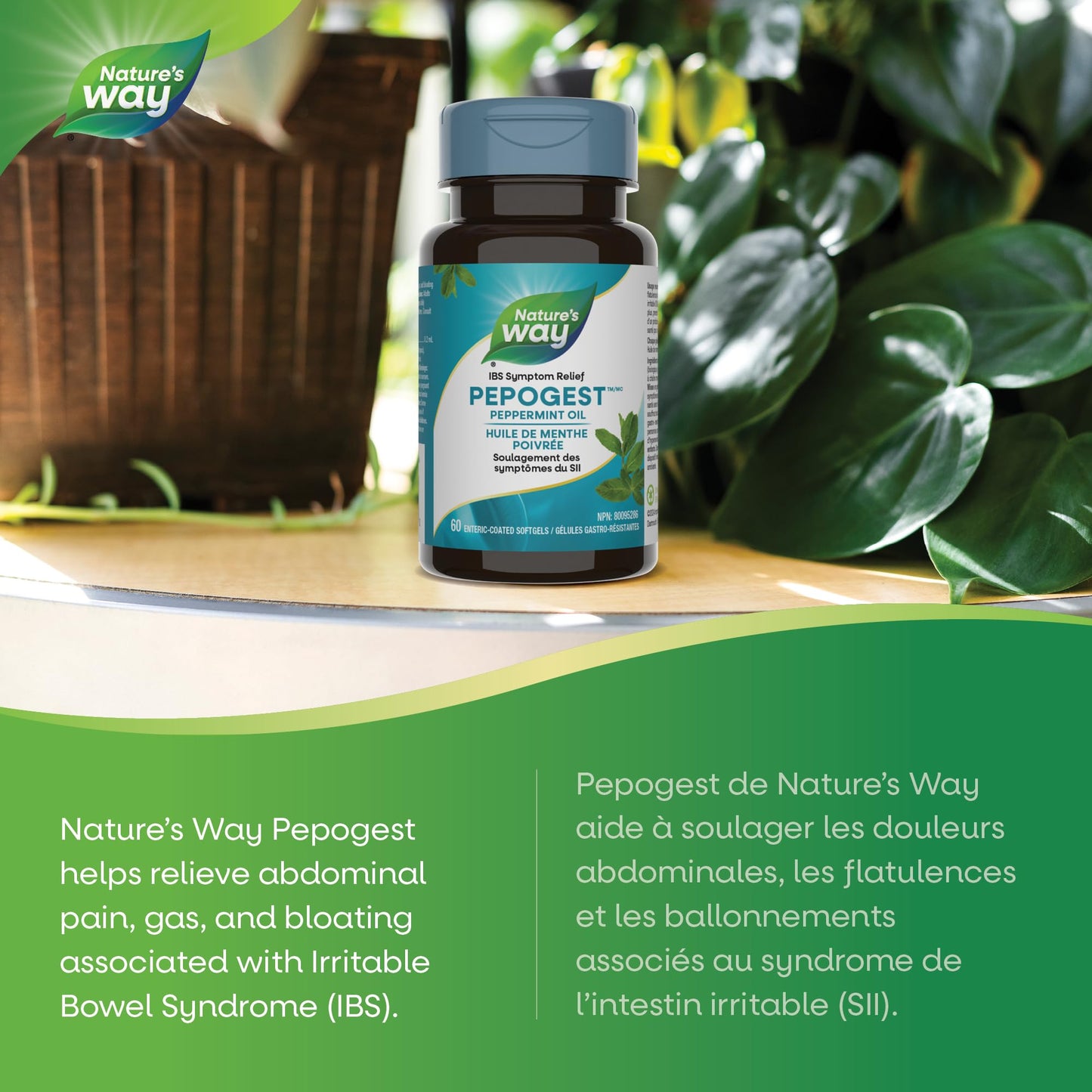 Nature’s Way Pepogest Peppermint Oil Softgels – Help Relieve Abdominal Pain, Gas & Bloating Associated with Irritable Bowel Syndrome – Enteric-Coated – 60 Capsules - Available at All In One Marketplace Canada