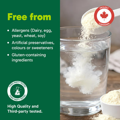 Organika Canadian-Made Creatine Powder- Lemonade- Pure Micronized Creatine Monohydrate - Helps Build Lean Muscle, Increase Strength, and Improved Recovery and Performance for Men and Women - 600g
