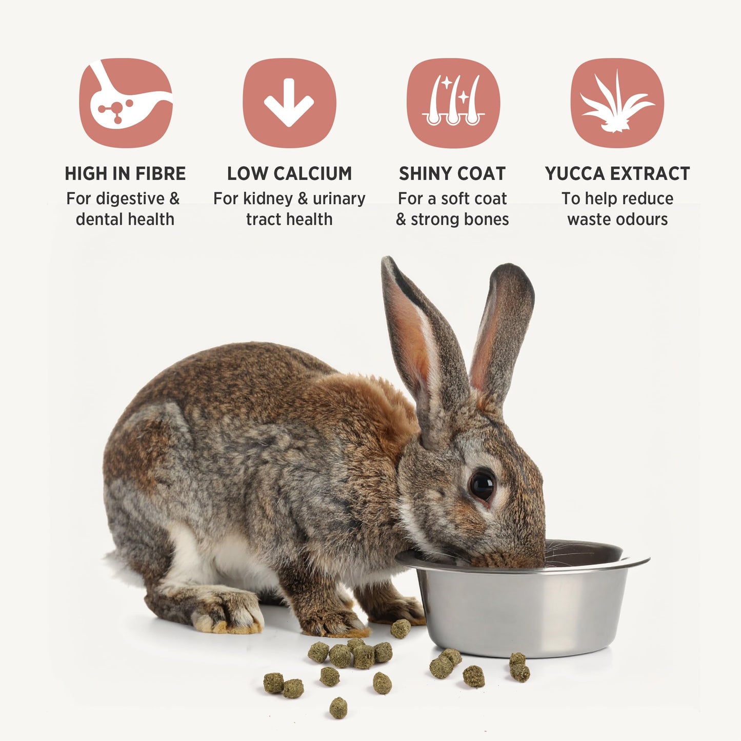 Living World Canadian Extrusion Rabbit Food - 1.4kg Living World