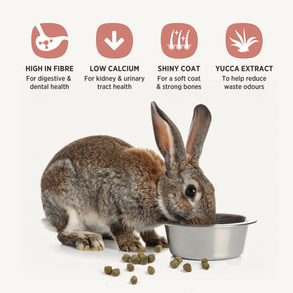 Living World Canadian Extrusion Rabbit Food - 1.4kg Living World