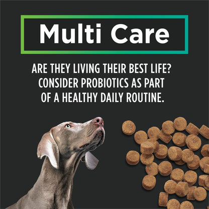 Purina Pro Plan Veterinary Supplements, Mutli Care Dog Chew Probiotic - 300 g (60 Chews) Pro Plan Veterinary Diets