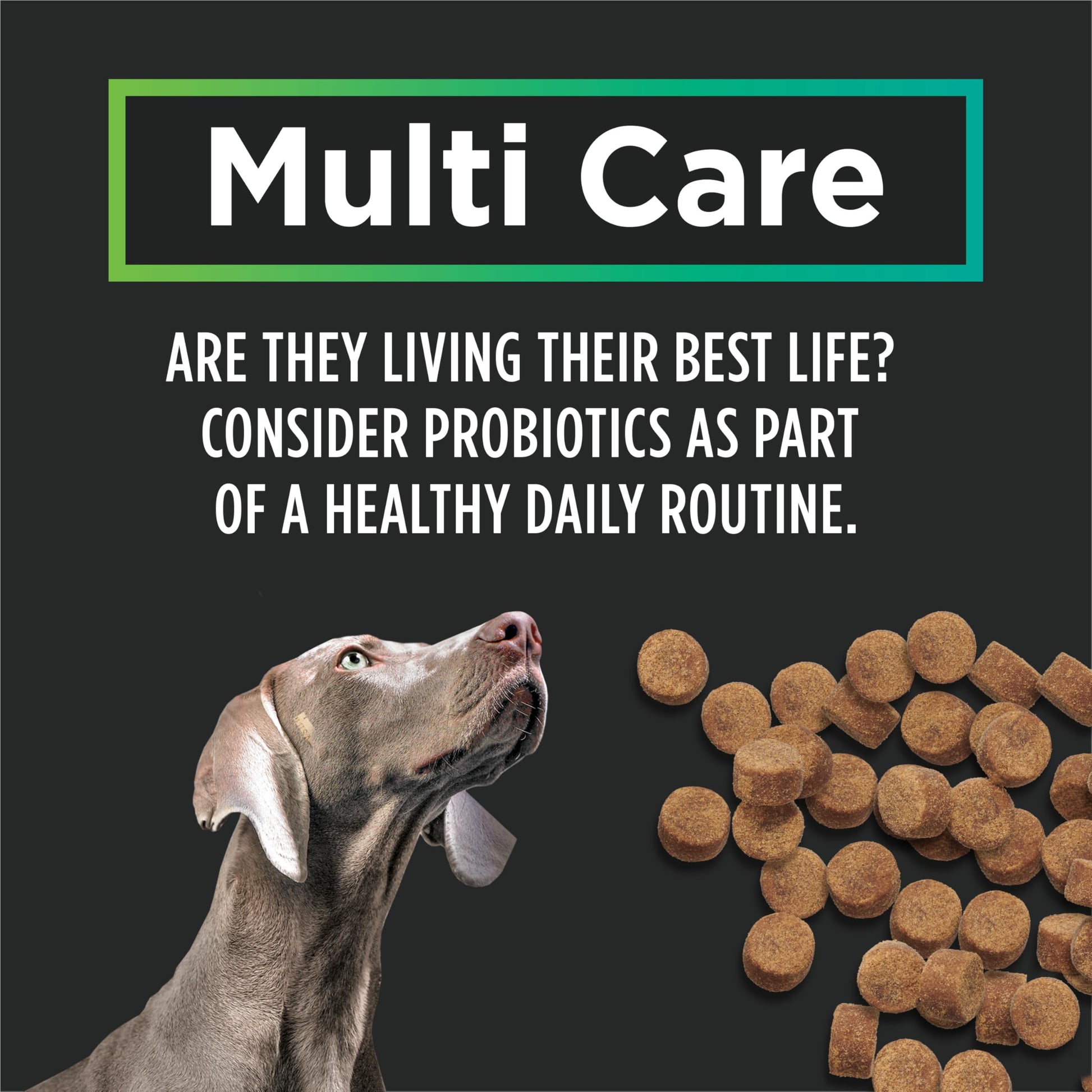 Purina Pro Plan Veterinary Supplements, Mutli Care Dog Chew Probiotic - 150 g (30 Chews) Pro Plan Veterinary Diets