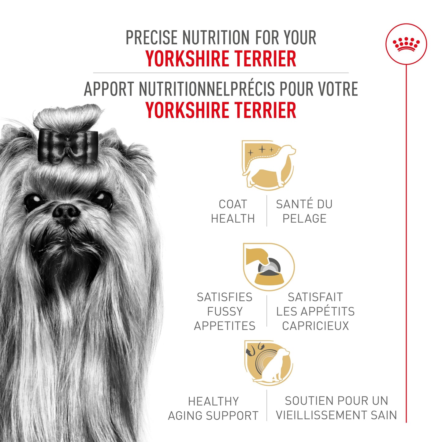 Royal Canin Yorkshire Terrier Adult Dry Dog Food, 10 lb bag ROYAL CANIN