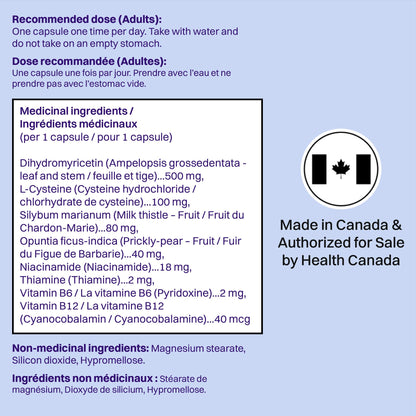DHM Blend, No Days Wasted, 30 Capsules (15 Servings) - Jar - Dihydromyricetin (DHM Supplement), Milk Thistle, Prickly Pear, Hydration Blend-Take During Evening for Better Next Day After Celebrating - Available at All In One Marketplace Canada