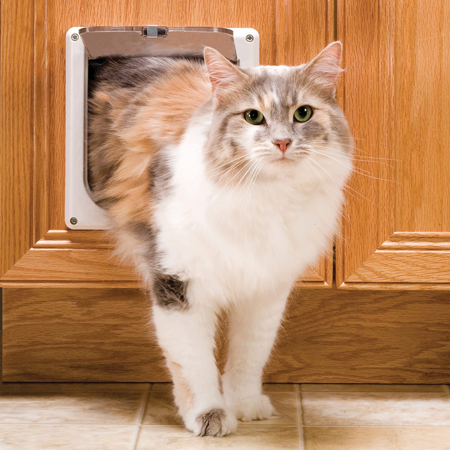 PetSafe Interior 2-Way Locking Cat Door - Indoor Pet Flap - Hides Litterbox or Food - DIY Installation 🍁 All In One Marketplace Canada