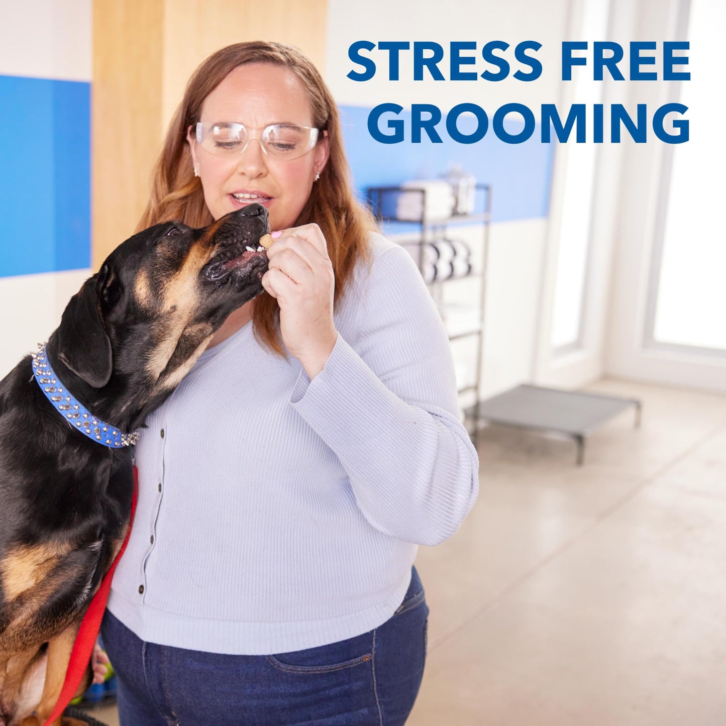 Dremel PawControl Dog Nail Grinder and Trimmer- Safe & Humane Pet Grooming Tool Kit- Cordless & Rechargeable Claw Grooming Kit for Dogs, Cats, and Small Animals 7760-PGK Dremel