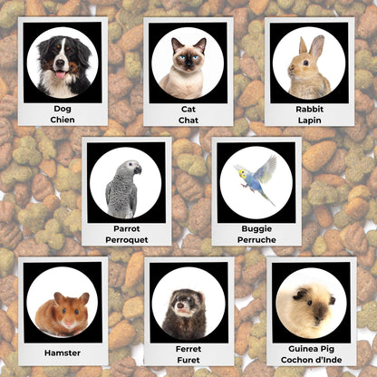 Starfrit LocknLock Pet Food Container - 169oz/5L - Airtight - 4-Sided Locking Flip Top Lid 🍁 All In One Marketplace Canada