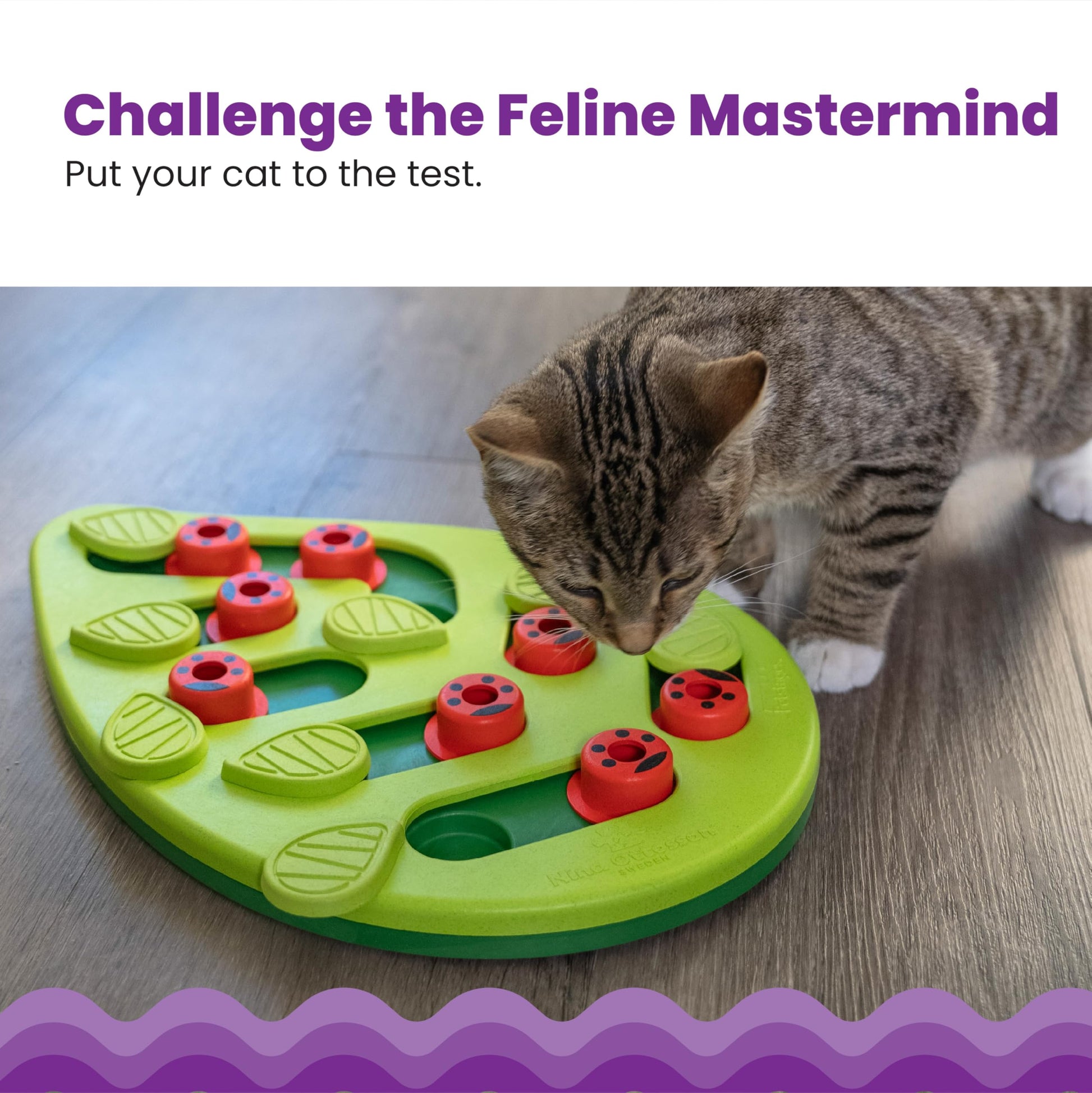 Catstages Buggin' Out Puzzle & Play, Interactive Treat Puzzle Cat Toy, Green - Available at All In One Marketplace Canada