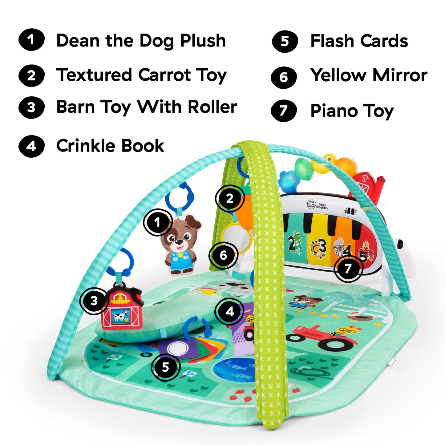 Baby Einstein Farm Explorers 4-in-1 Kickin’ Tunes Musical Meadow Music & Language Discovery Gym, Ages 0 Months and Up 🍁 All In One Marketplace Canada