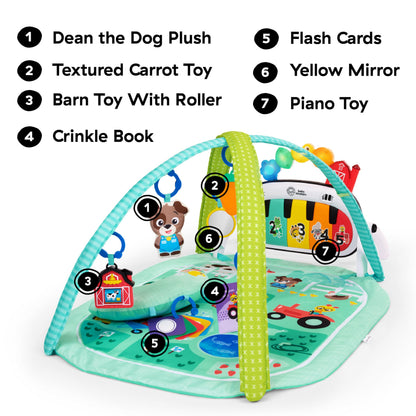 Baby Einstein Farm Explorers 4-in-1 Kickin’ Tunes Musical Meadow Music & Language Discovery Gym, Ages 0 Months and Up 🍁 All In One Marketplace Canada